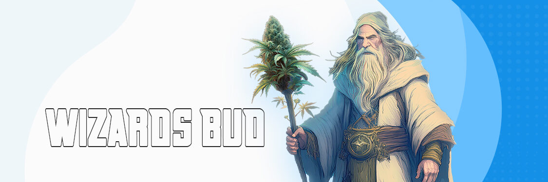 Wizards Bud LLC